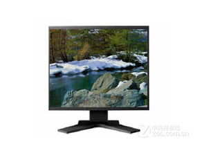EIZO S1901T LCD液晶顯示屏 專業顯示體驗的經典之作
